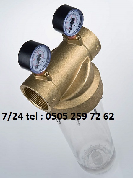 pirinc-basliksi-havsing